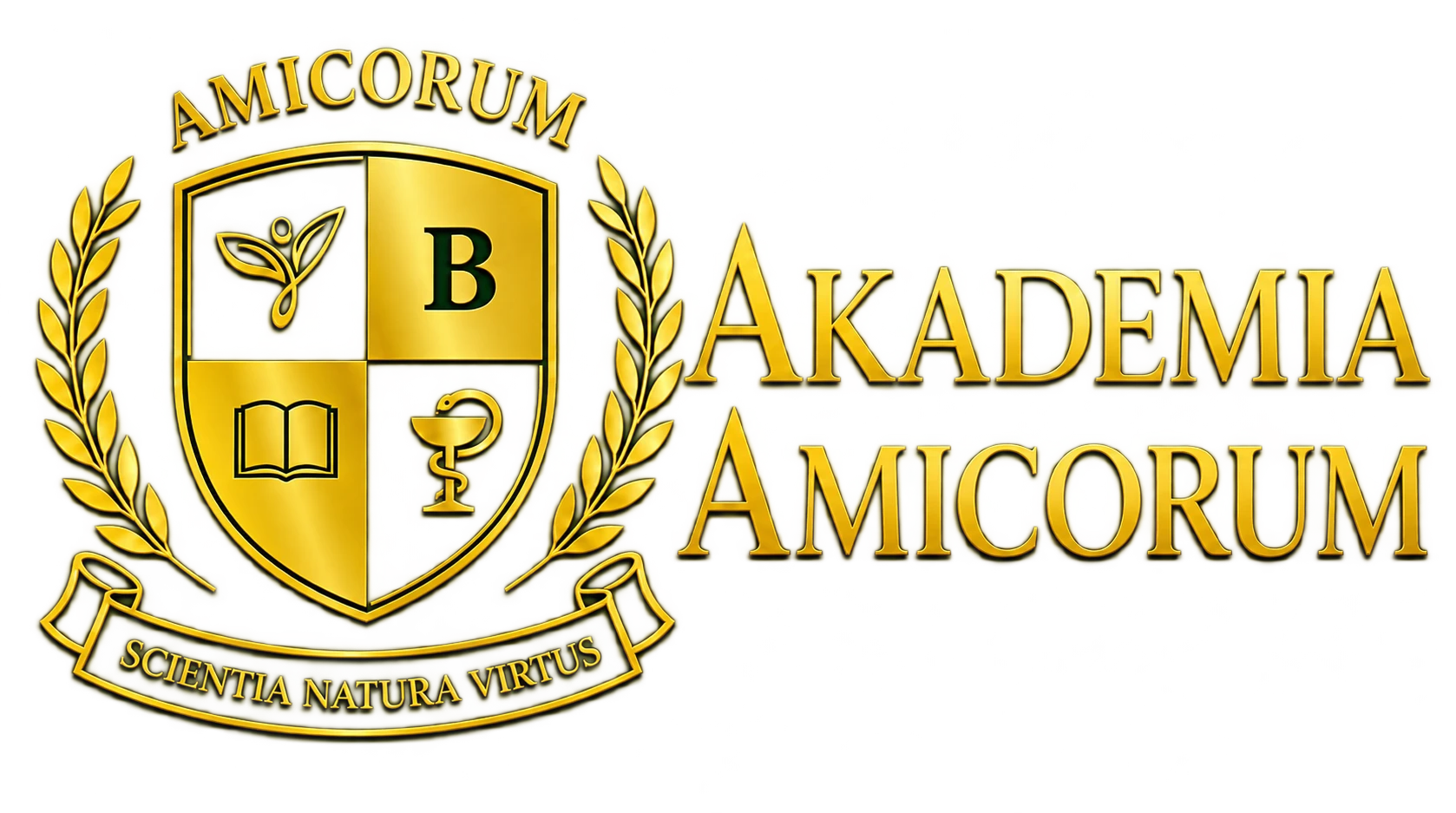 logo-akademia